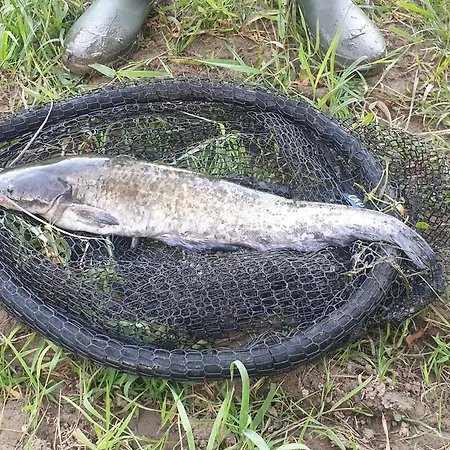 Vakantiehuis Chez Emile Cote Face Maison Entiere, 3 Chambres, 2 Salles De Bains,jardin Et Terrasse *