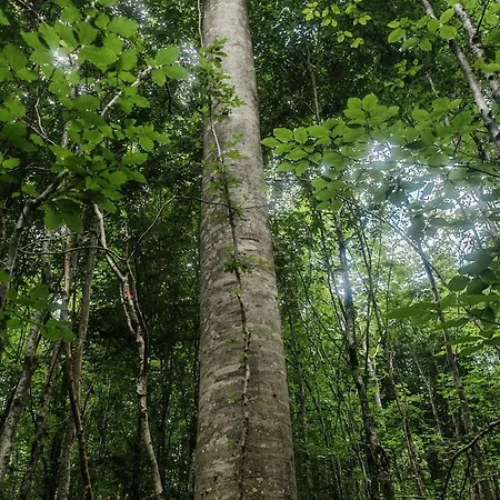 Chez Emile Cote Face Maison Entiere, 3 Chambres, 2 Salles De Bains,jardin Et Terrasse * Humes-Jorquenay