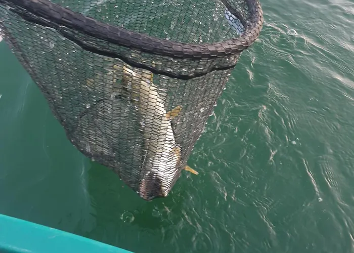 Chez Emile Cote Face Maison Entiere, 3 Chambres, 2 Salles De Bains,jardin Et Terrasse Ferienhaus *