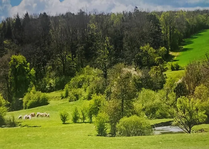 Chez Emile Cote Face Maison Entiere, 3 Chambres, 2 Salles De Bains,jardin Et Terrasse Ferienhaus Humes-Jorquenay