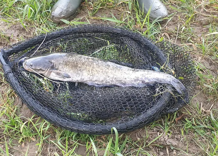 Ferienhaus Chez Emile Cote Face Maison Entiere, 3 Chambres, 2 Salles De Bains,jardin Et Terrasse *