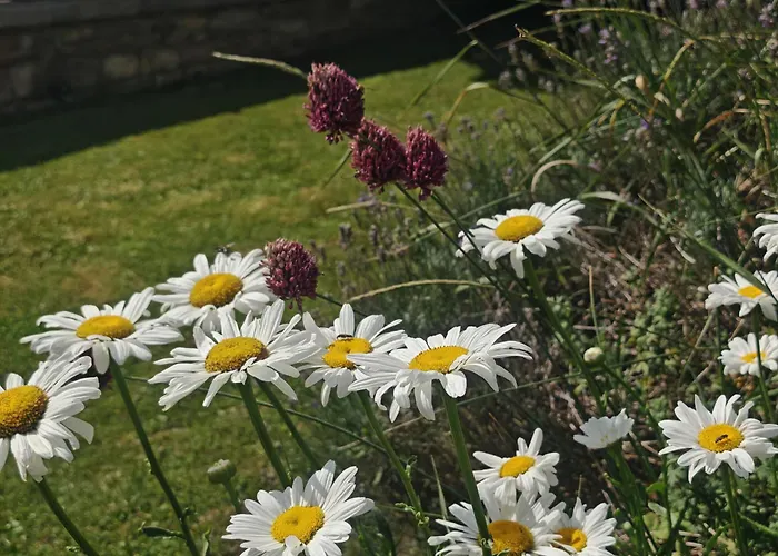 Chez Emile Cote Face Maison Entiere, 3 Chambres, 2 Salles De Bains,jardin Et Terrasse Ferienhaus *