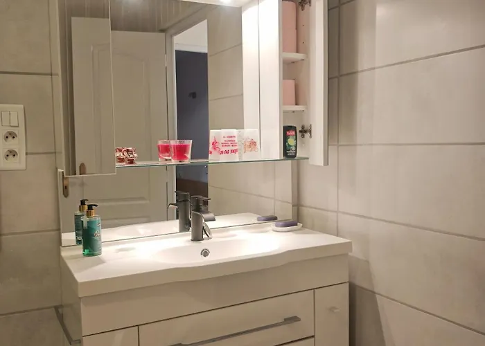 Ferienhaus Chez Emile Cote Face Maison Entiere, 3 Chambres, 2 Salles De Bains,jardin Et Terrasse *